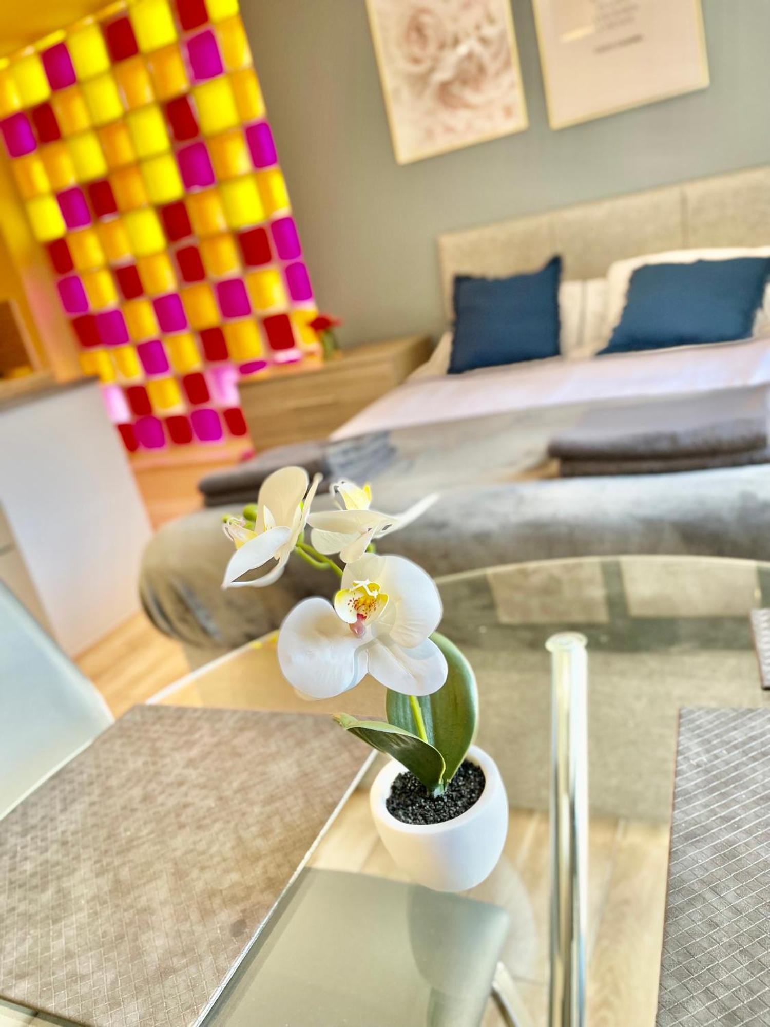 Cambridge City Centre Immaculate Studio Sleeps 2 - Central Location Paradise Street Esterno foto